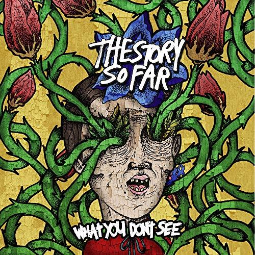The Story So Far - What You Don't See (LP) - Joco Records