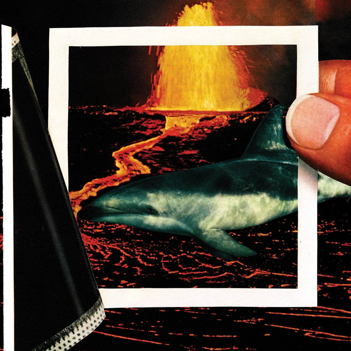 The Thermals - We Disappear (LP) - Joco Records