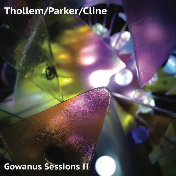 Thollem/Parker/Cline - Gowanus Sessions Ii (LP) - Joco Records