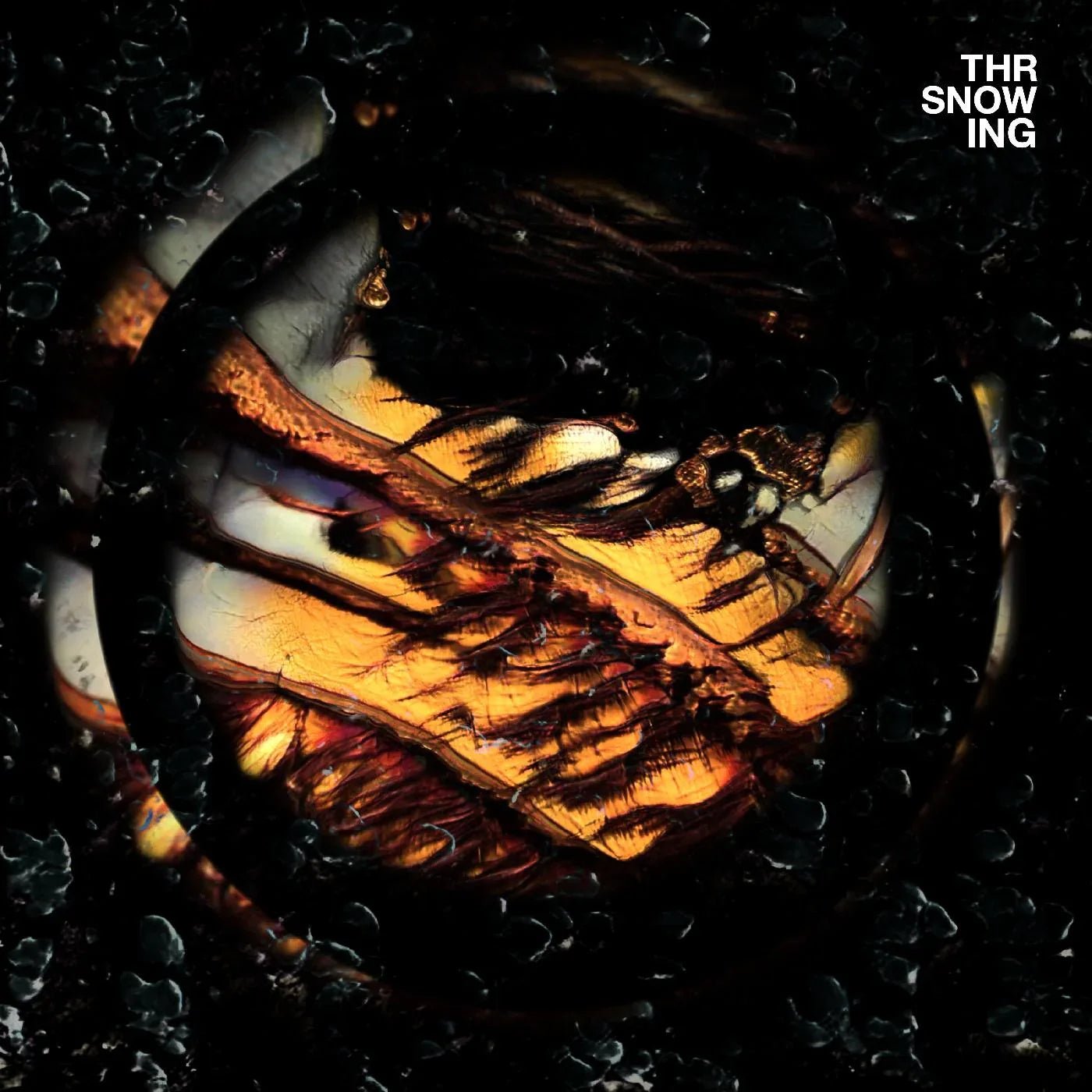 Throwing Snow - Dragons (Marbled Orange Vinyl) (LP) - Joco Records
