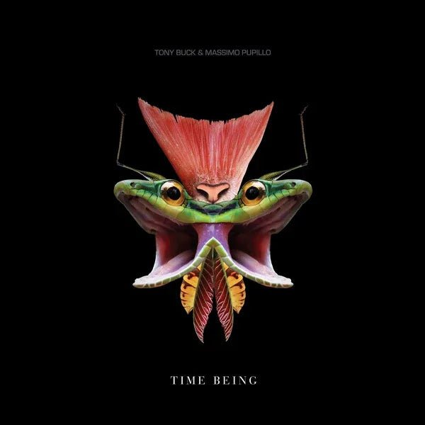 Tony Buck & Massimo Pupillo - Time Being (LP) - Joco Records