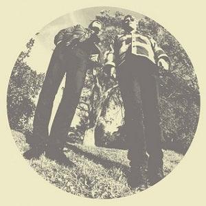 Ty & White Fence Segall - Hair (LP)