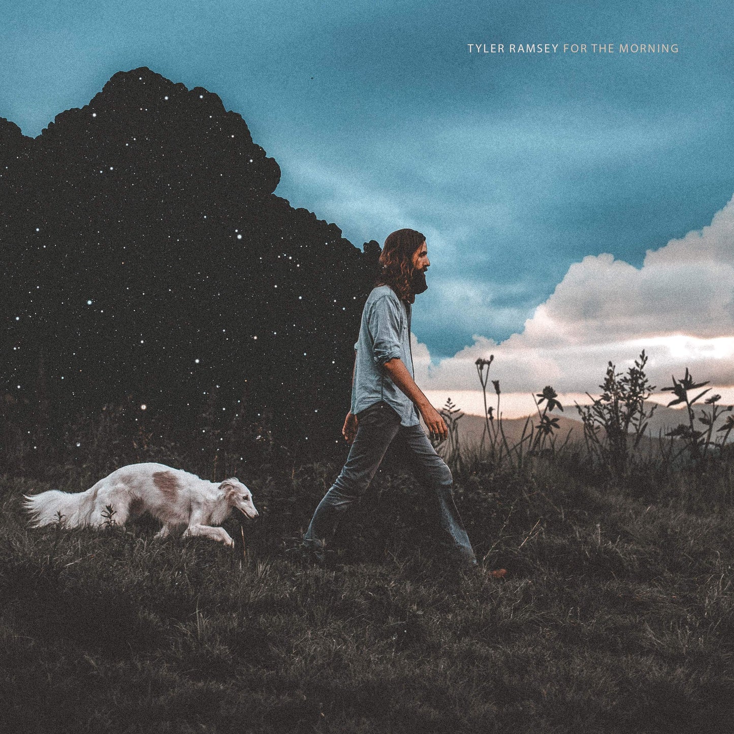 Tyler Ramsey - For The Morning (LP)