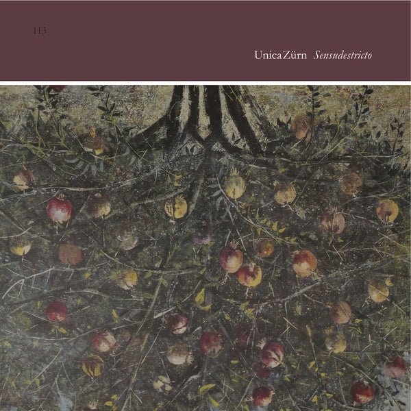 Unicazurn - Sensudestricto (LP) - Joco Records