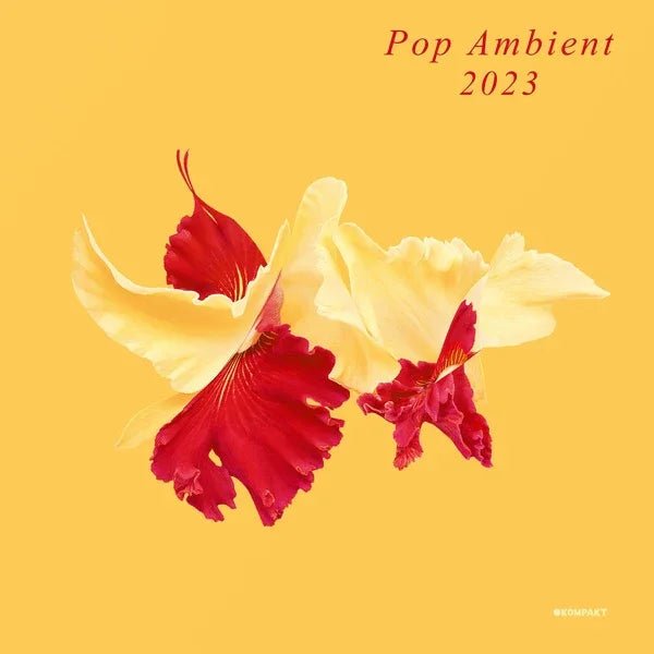 Various Artists - Pop Ambient 2023 (LP) - Joco Records