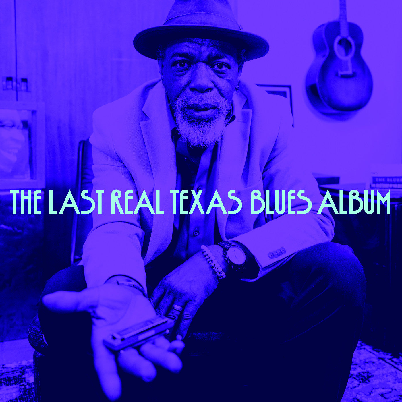 Various Artists - The Last Real Texas Blues Album