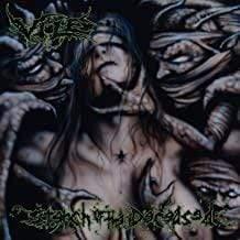Vile - Stench Of The Deceased (LP)