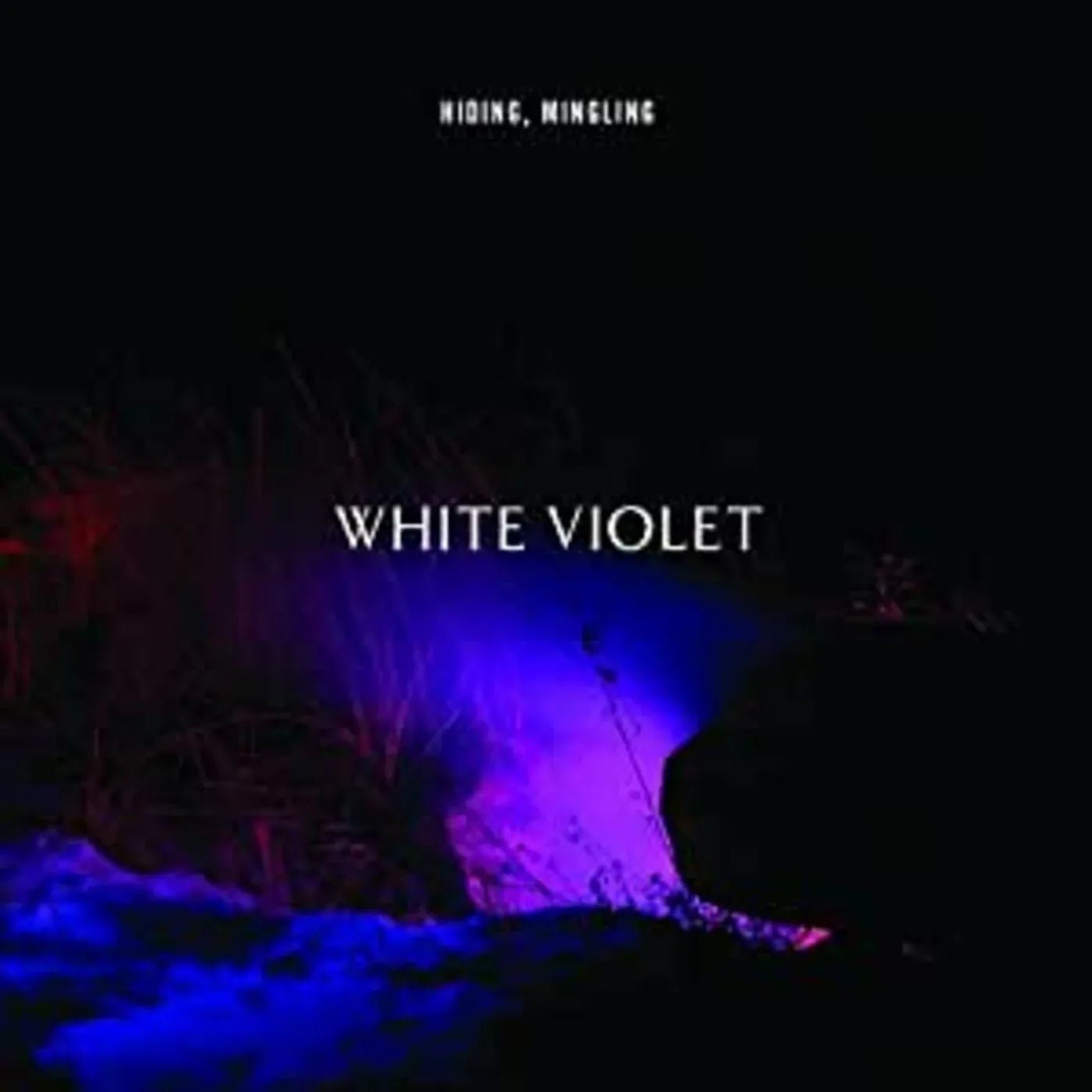 White Violet - Hiding, Mingling (LP) - Joco Records