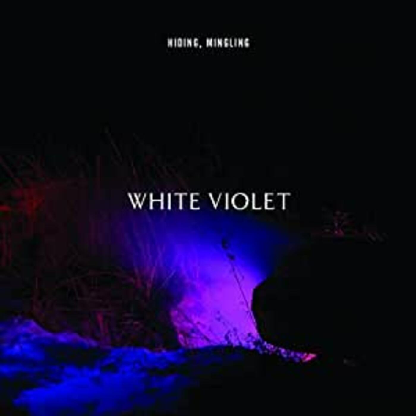 White Violet - Hiding, Mingling (Vinyl) - Joco Records