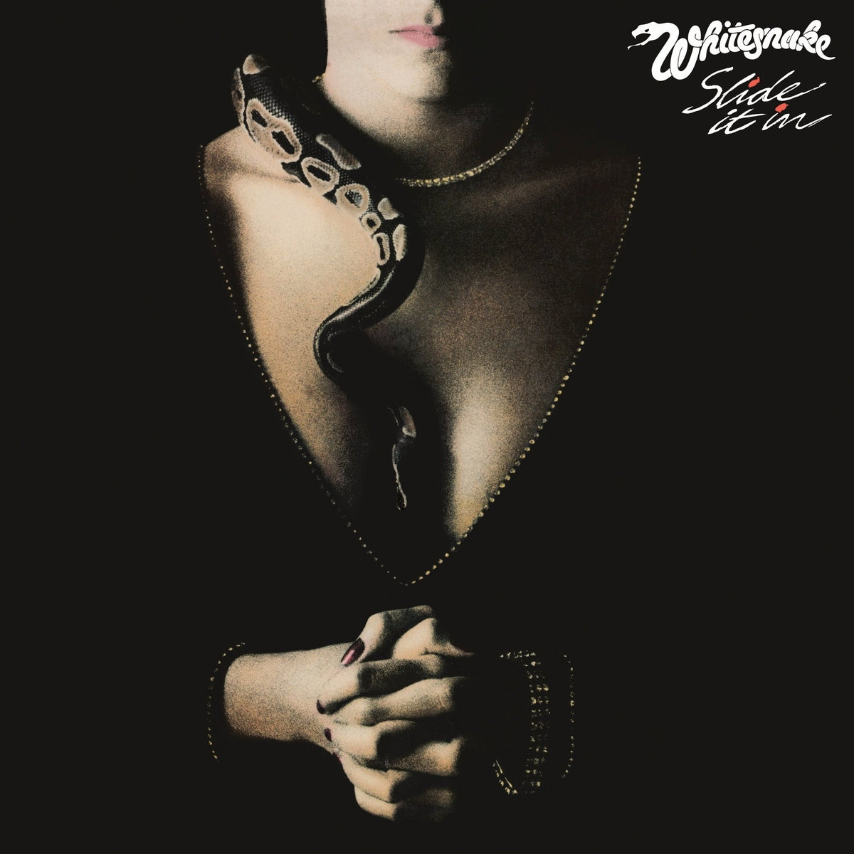 Whitesnake - Slide It In - Joco Records