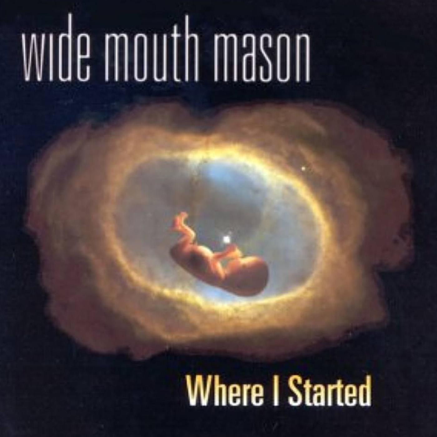 Wide Mouth Mason - Where I Started (Vinyl) - Joco Records