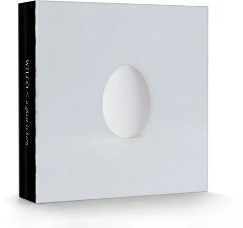 Wilco - A Ghost Is Born (Deluxe Edition) (9 LP/ 4 CD Box Set) (2 LP)