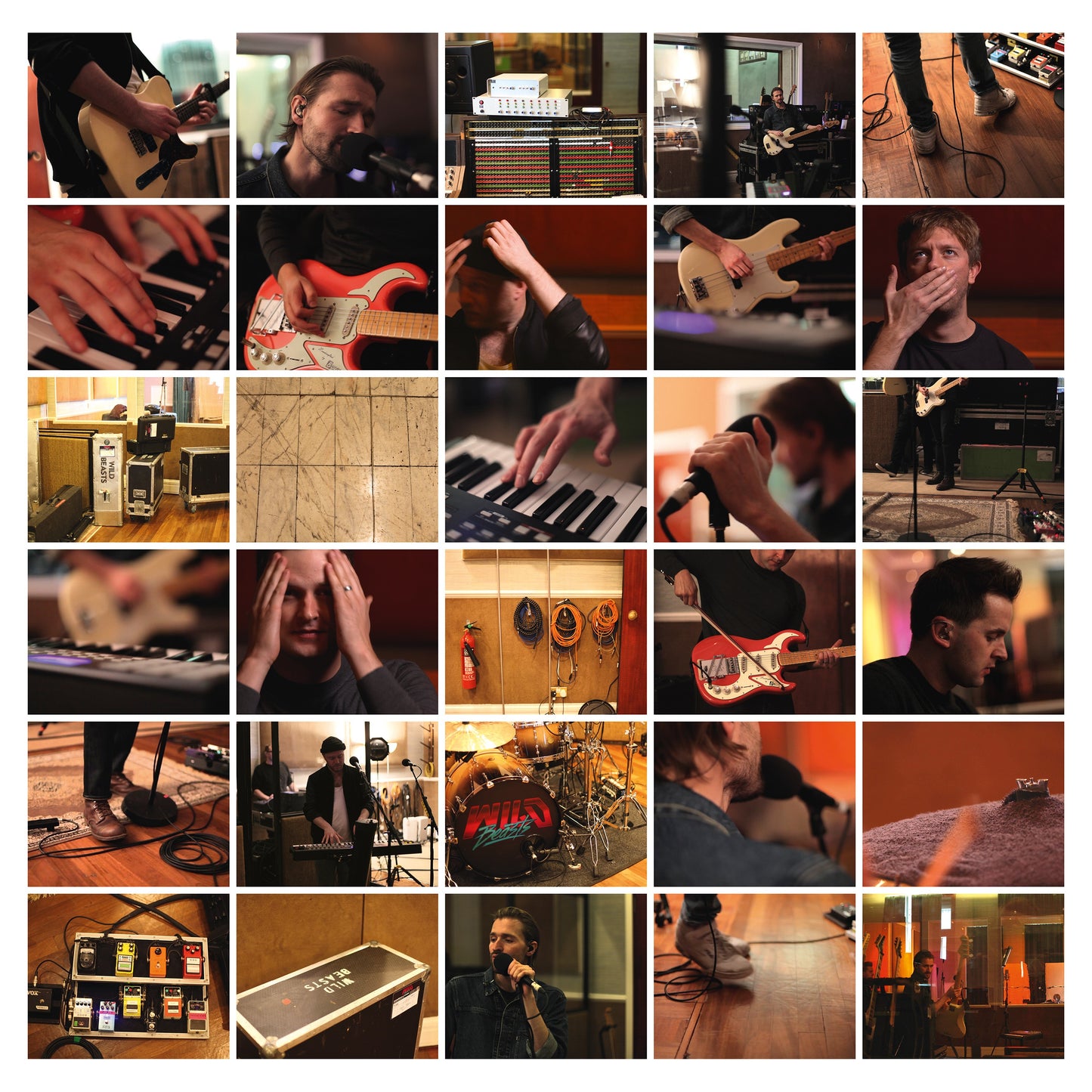 Wild Beasts - Last Night All My Dreams Came True (Vinyl) - Joco Records