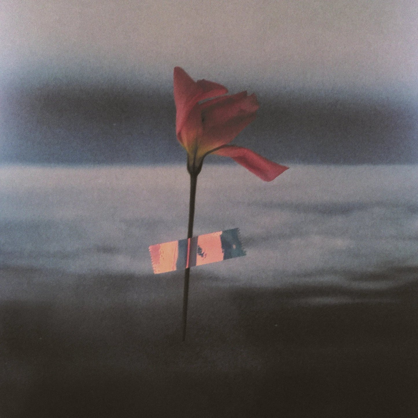Will Samson - Paralanguage (Clear Vinyl) (LP) - Joco Records