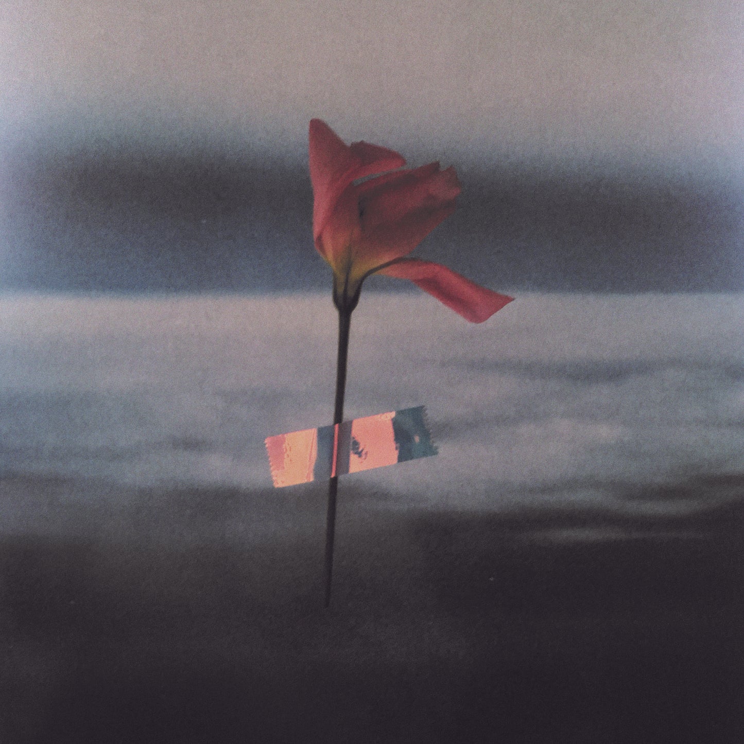 Will Samson - Paralanguage (Color Vinyl) - Joco Records