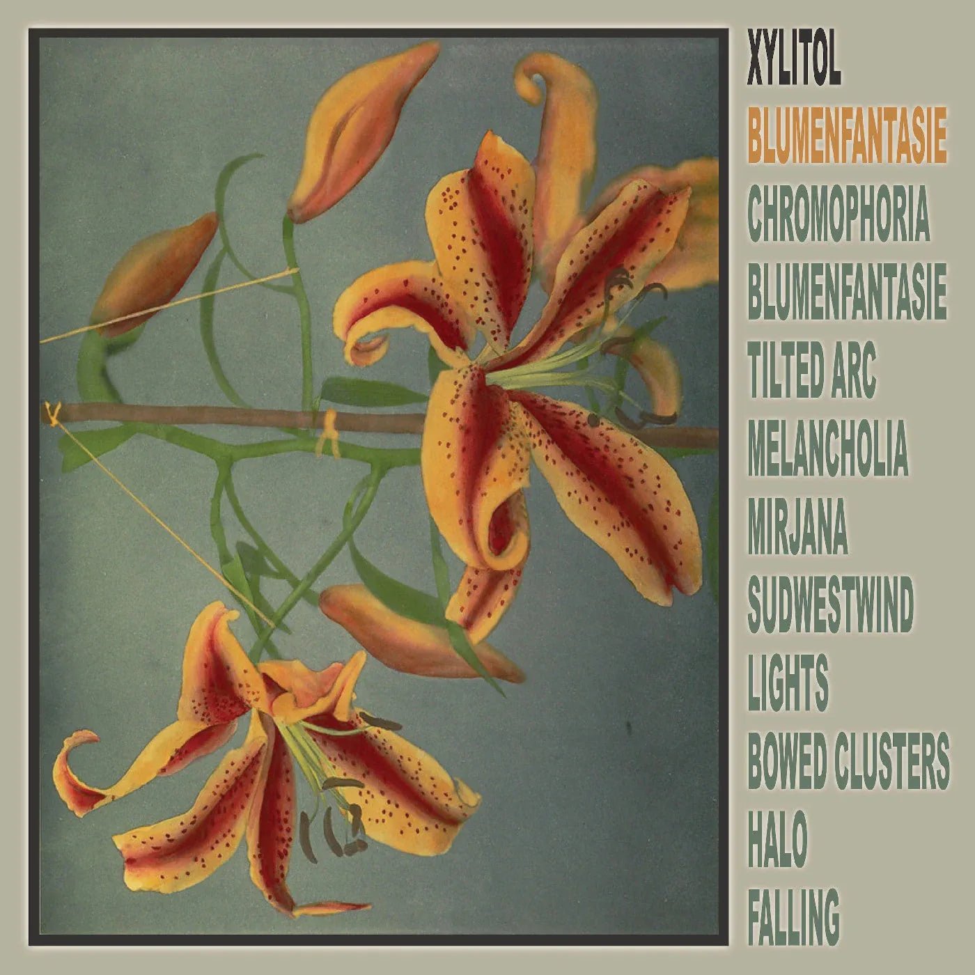 Xylitol - Blumenfantasie (LP) - Joco Records
