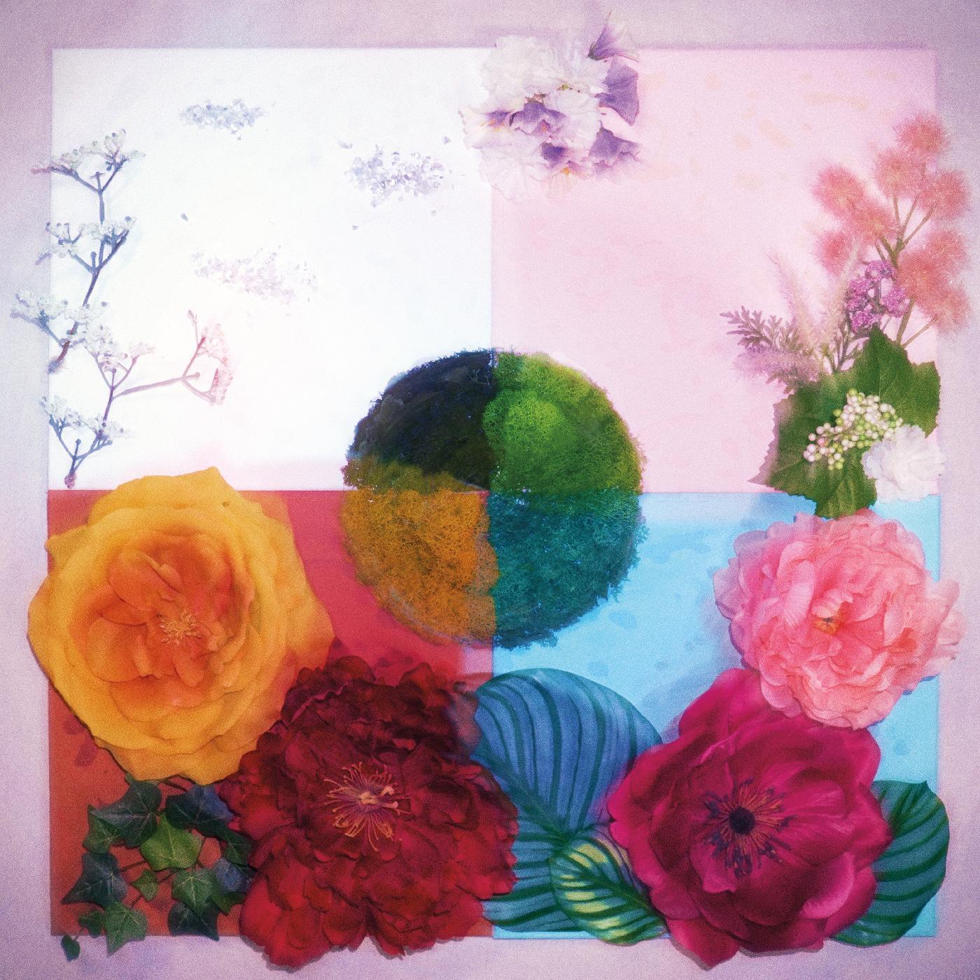 Zenizen - P.O.C (Proof Of Concept) (Limited Pink & Maroon Vinyl) - Joco Records