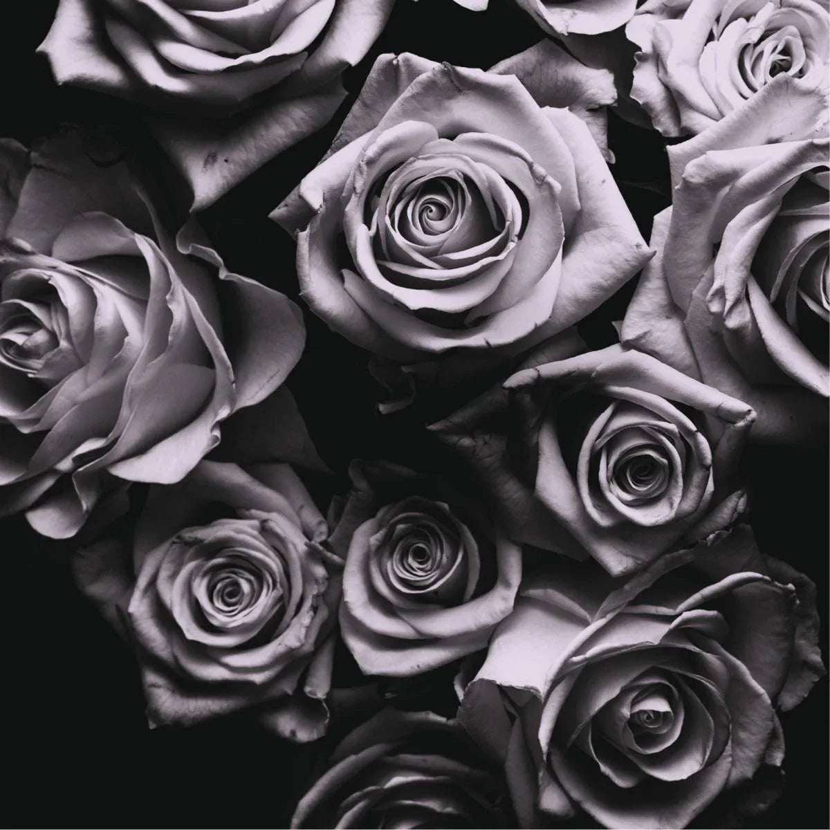 Zomby - With Love (3 LP) - Joco Records