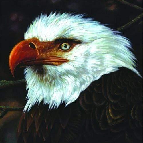 Mogwai - The Hawk Is Howling (2 LP) - Joco Records