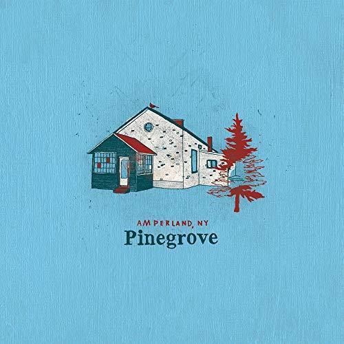 Pinegrove - Amperland, Ny (2 LP) - Joco Records