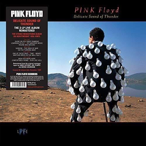 Pink Floyd - Delicate Sound Of Thunder (Vinyl) - Joco Records