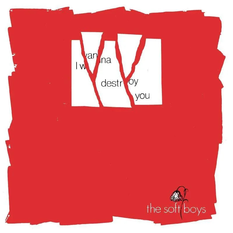 Soft Boys, The - I Wanna Destroy You / Near The Soft Boys (40th Anniversary Editi (Vinyl) - Joco Records
