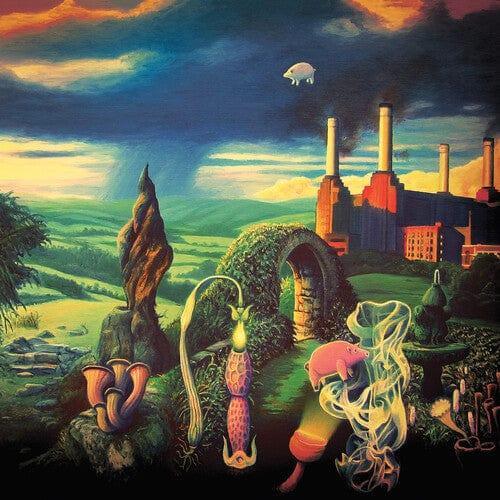 Various Artists - Animals Reimagined - Tribute To Pink Floyd (Color Vinyl, Clear Vinyl) (Vinyl) - Joco Records