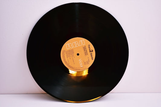 Tips: How to Clean Your Vinyl Records - Joco Records