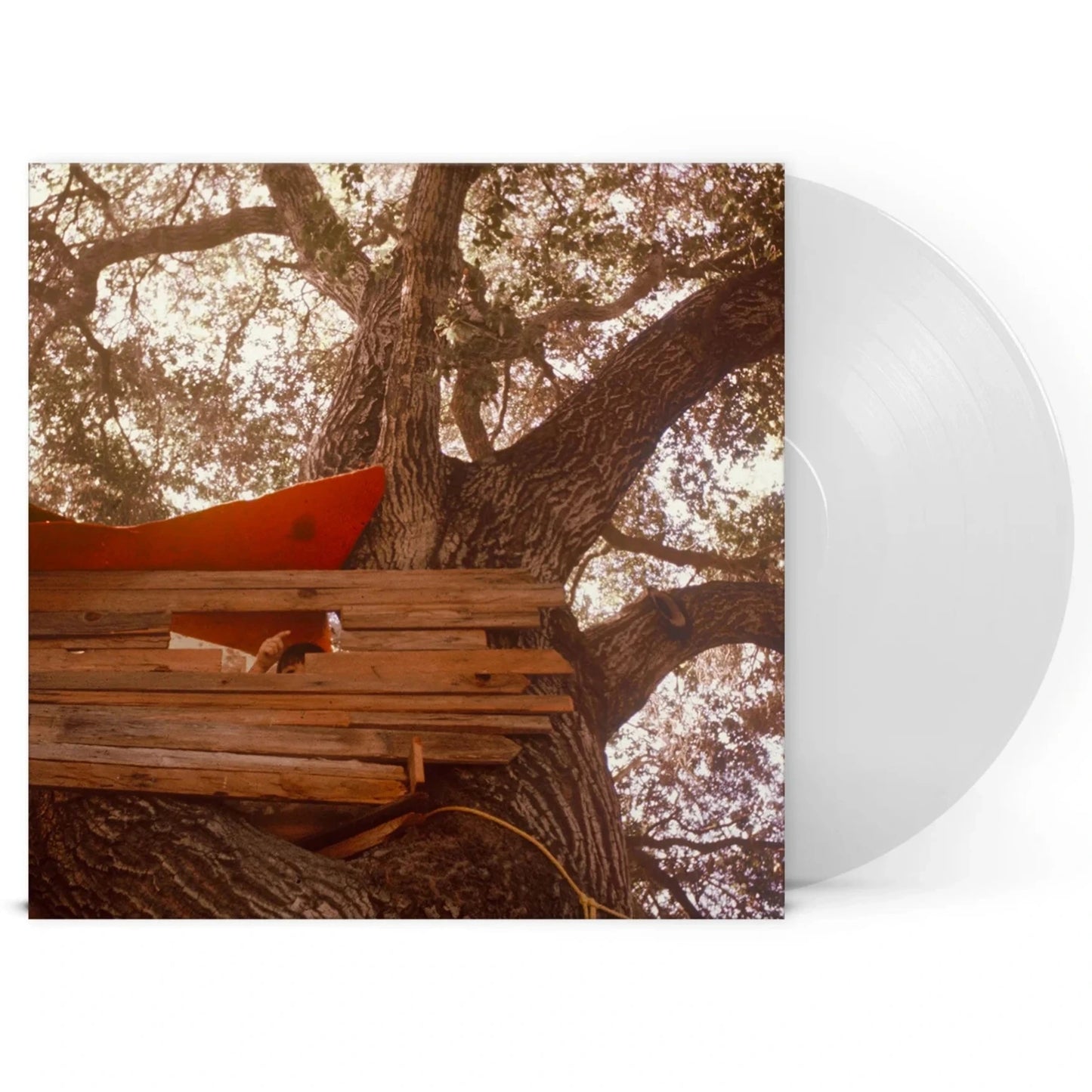 The Backseat Lovers - Waiting To Spill (Indie Exclusive, 180 Gram, Clear Vinyl) (LP)