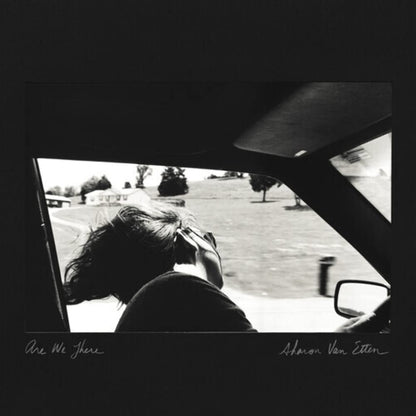 Sharon Van Etten - Are We There (LP)