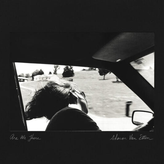 Sharon Van Etten - Are We There (LP)