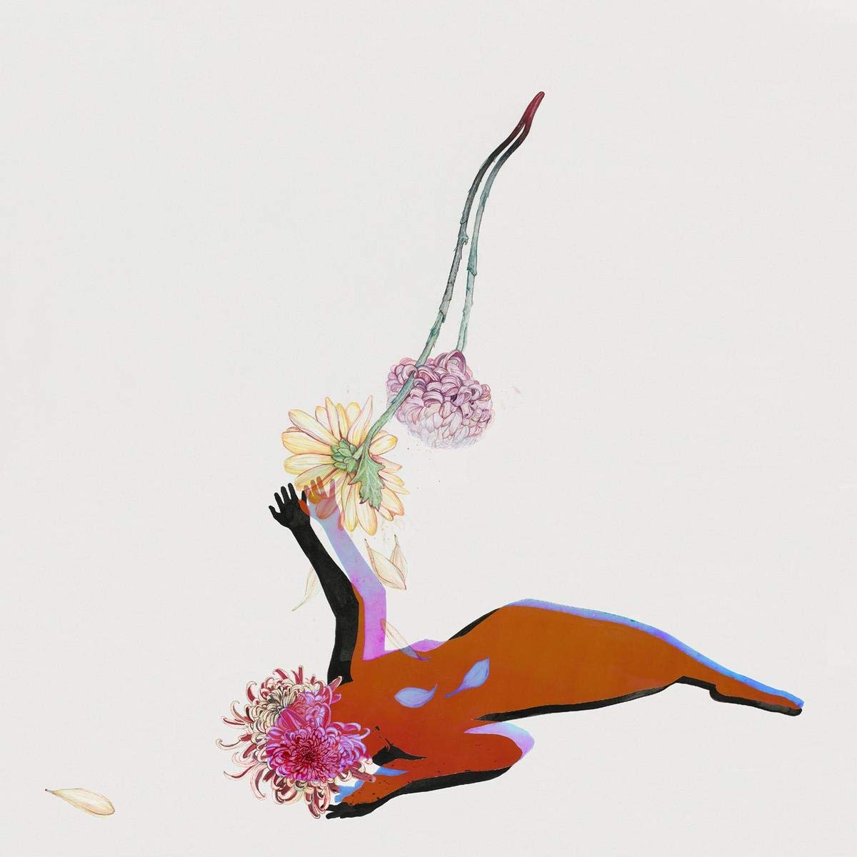 Future Islands - The Far Field (LP)