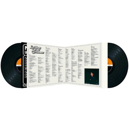 Paolo Nutini – Last Night In The Bittersweet (2 LP)