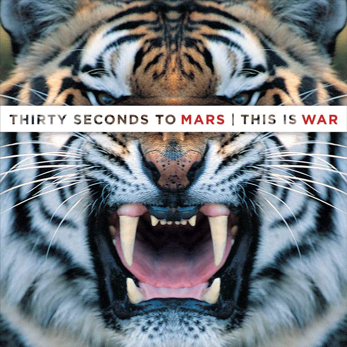 30 Seconds To Mars - This Is War (Remastered) (2 LP)