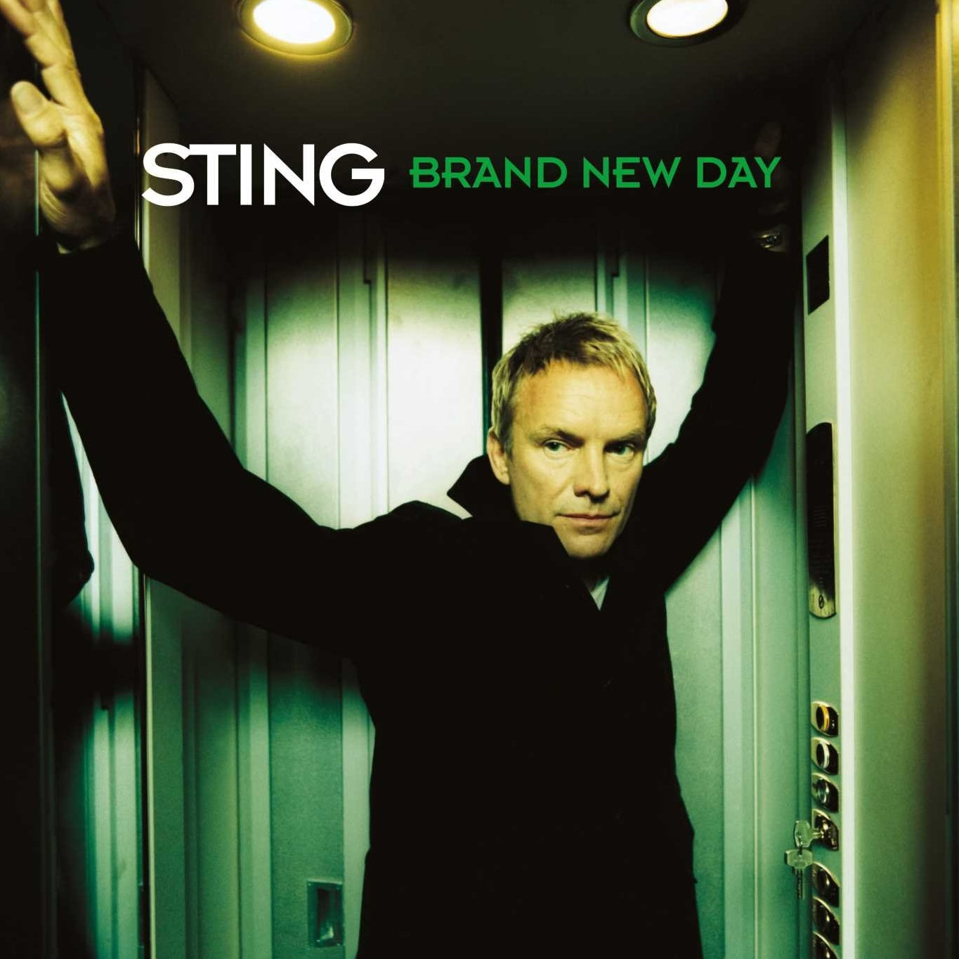 Sting - Brand New Day (2 LP) - Joco Records