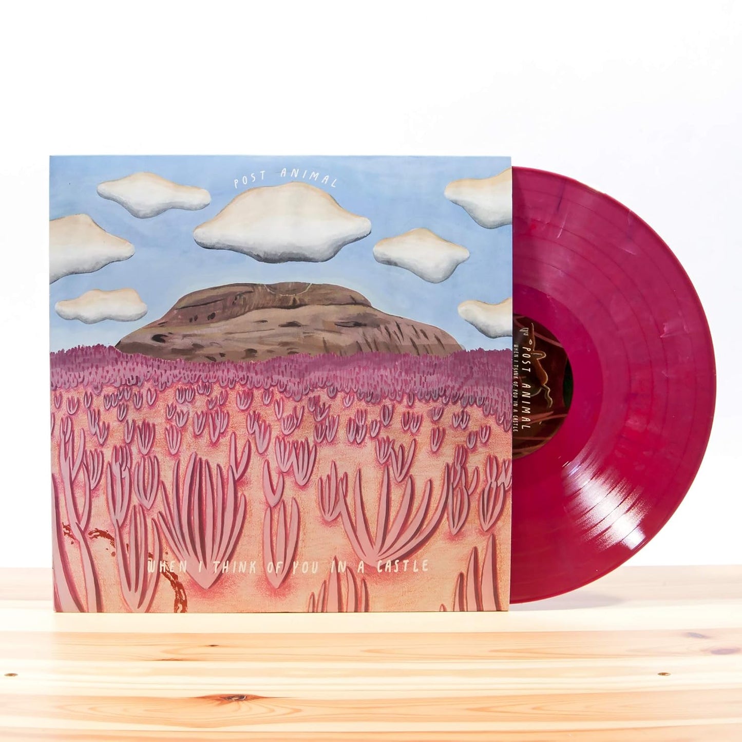 Post Animal - When I Think of You In A Castle (Limited Edition, Cream & Maroon Vinyl) (LP)