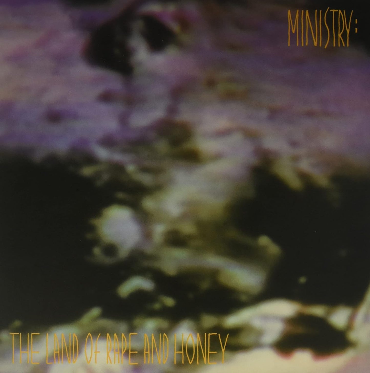 Ministry - The Land Of Rape And Honey (LP)