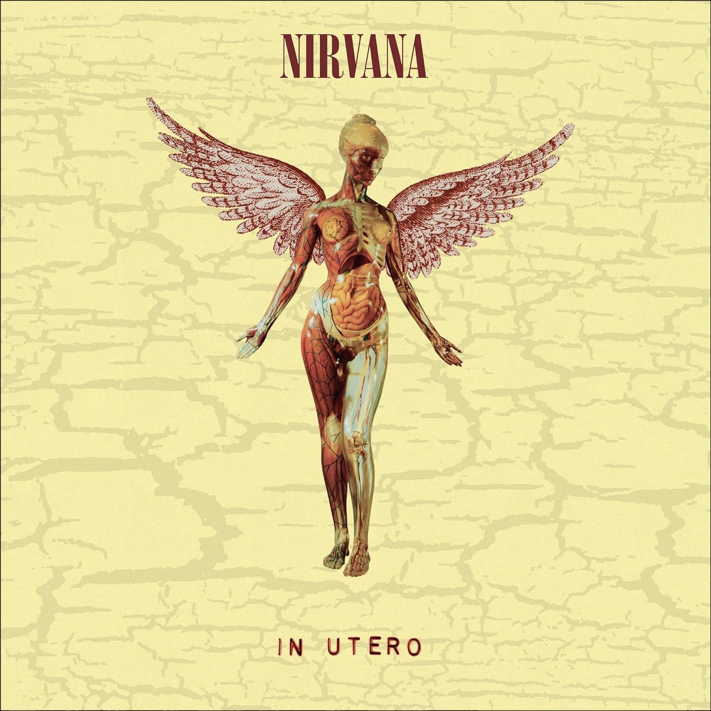 Nirvana - In Utero (30th Anniversary) (Super Deluxe Edition) (8 LP Box Set) - Joco Records