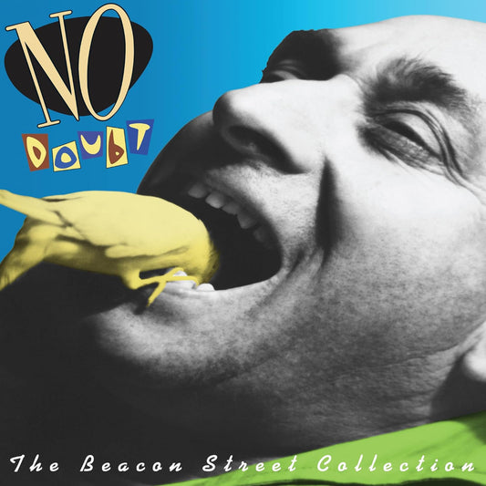 No Doubt - The Beacon Street Collection (LP) - Joco Records