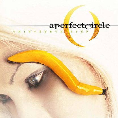 A Perfect Circle - Thirteenth Step (180 Gram) (2 LP) - Joco Records