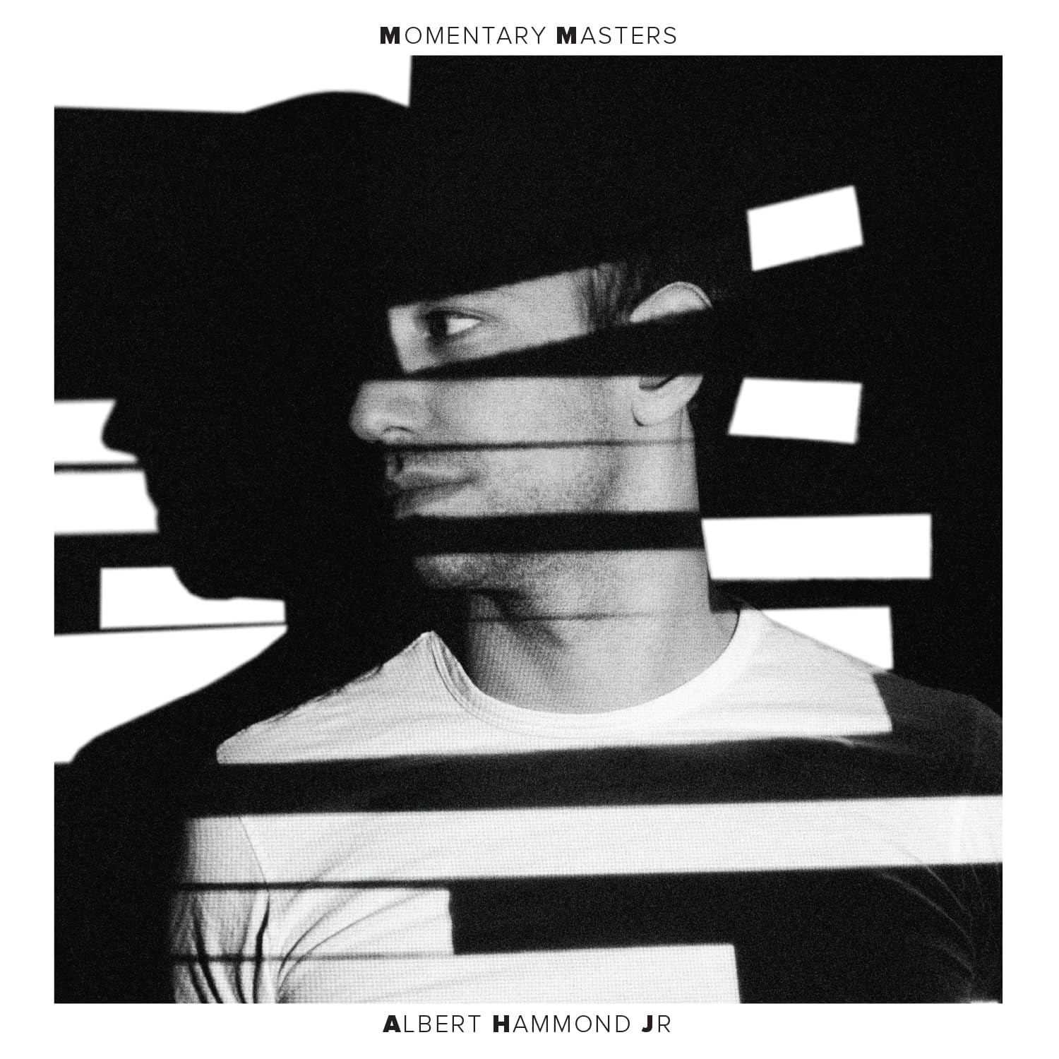 Albert Hammond Jr. - Momentary Masters (LP) - Joco Records