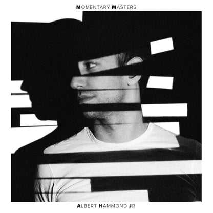 Albert Hammond Jr. - Momentary Masters (LP) - Joco Records