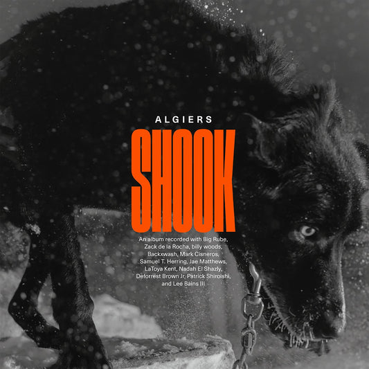 Algiers - Shook (Vinyl) - Joco Records