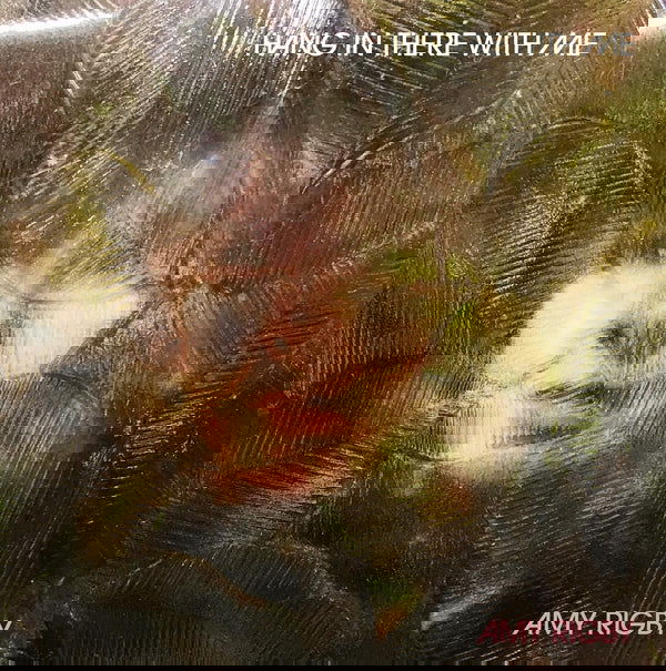 Amy Rigby - Hang In There With Me (Vinyl) - Joco Records