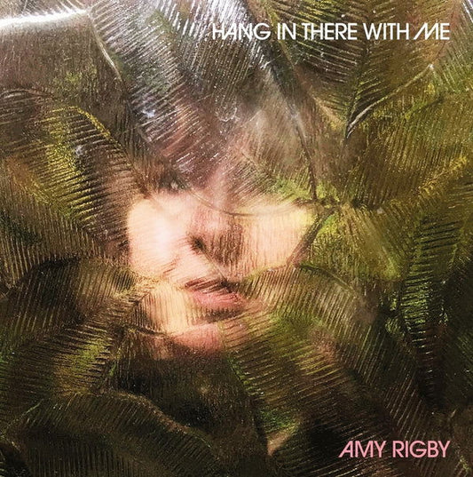 Amy Rigby - Hang In There With Me (Vinyl) - Joco Records