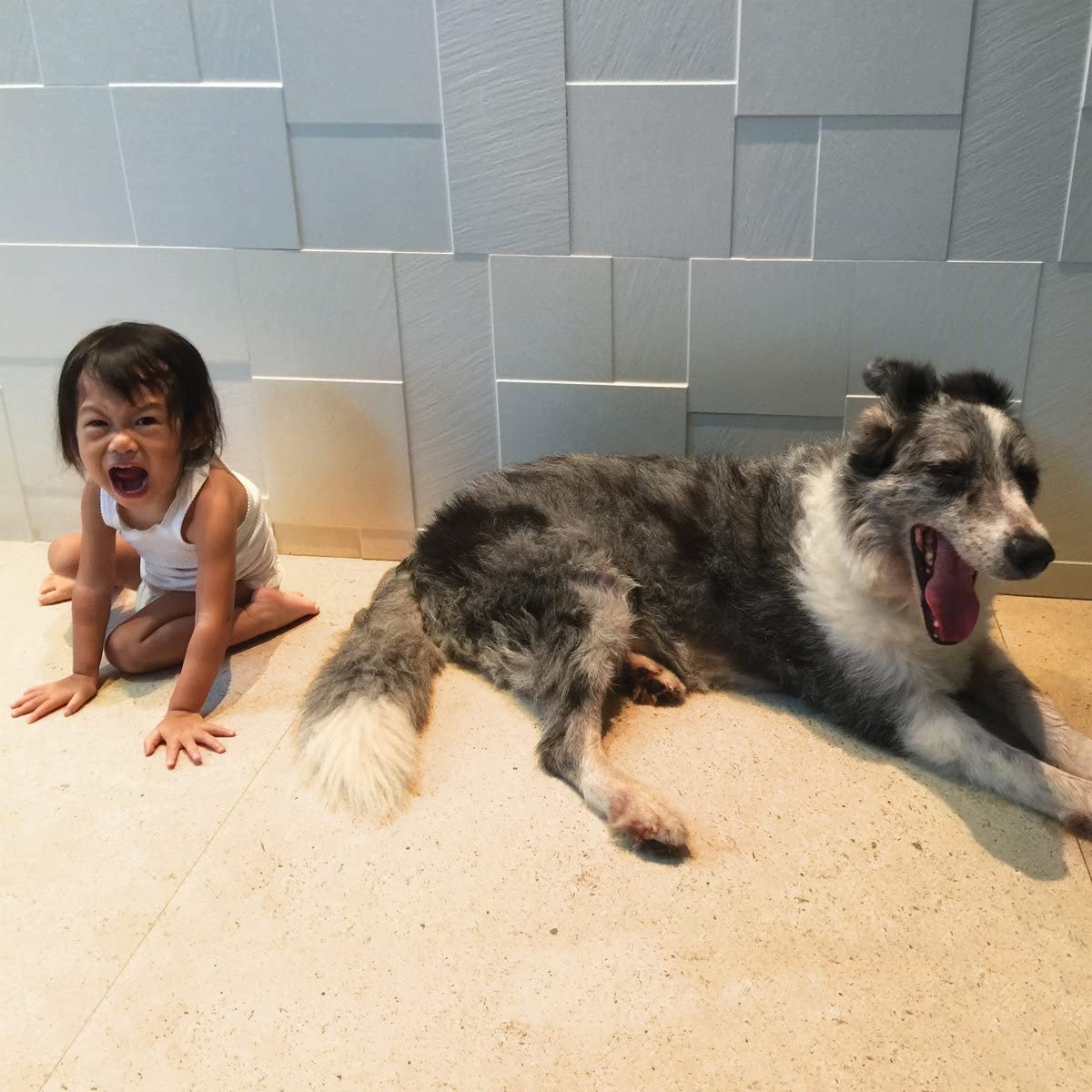 And So I Watch You From Afar - The Endless Shimmering (LP) - Joco Records