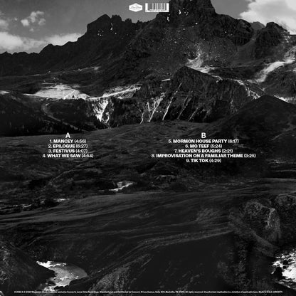 Andrew Bird - Outside Problems (LP) - Joco Records