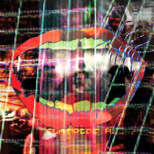 Animal Collective - Centipede Hz (Import) (Bonus Dvd)  (Vinyl) - Joco Records