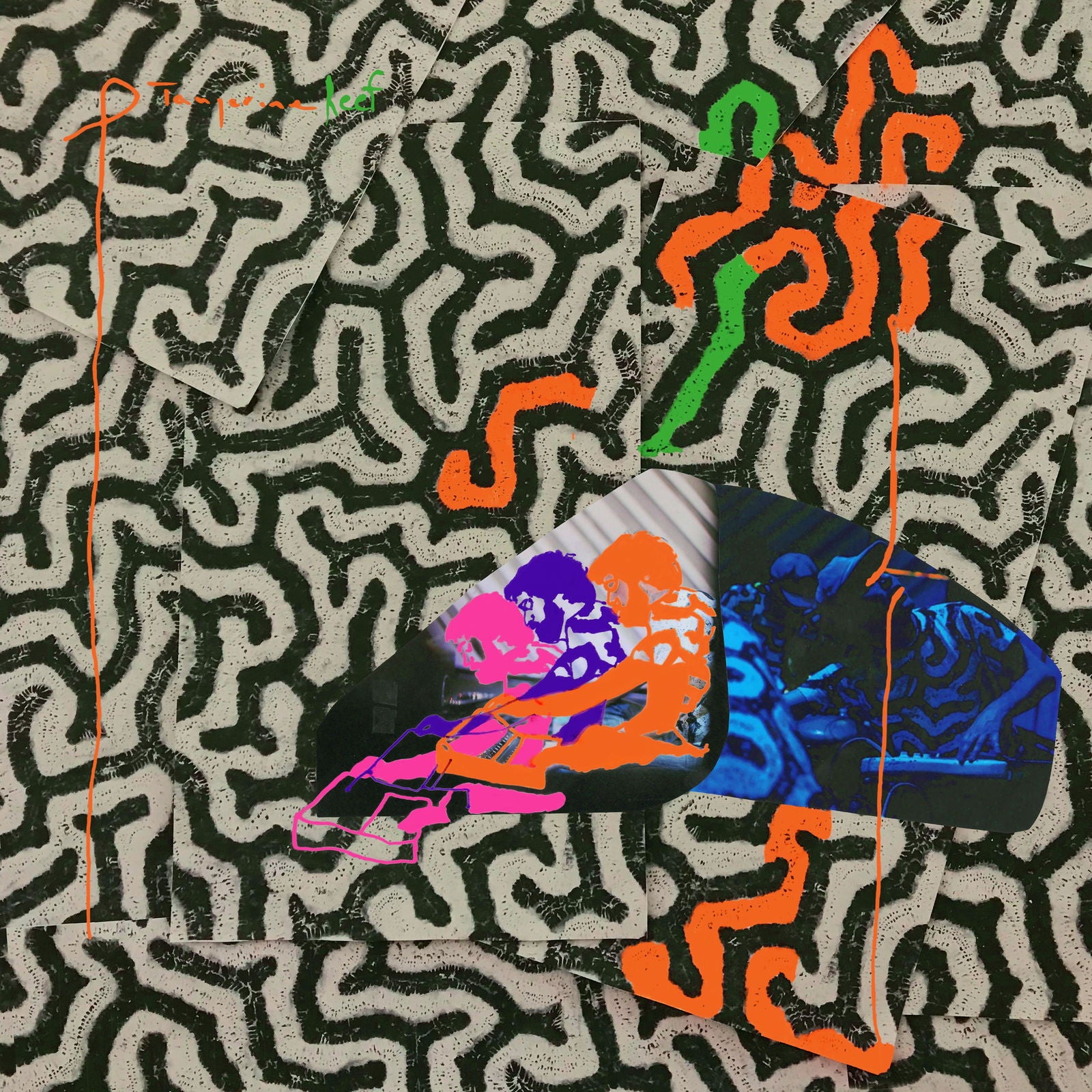Animal Collective - Tangerine Reef (LP) - Joco Records