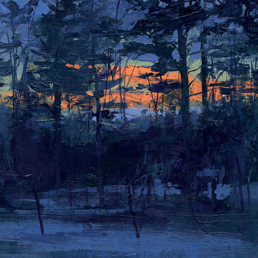 Animal Hospital - Shelf Life (Vinyl) - Joco Records